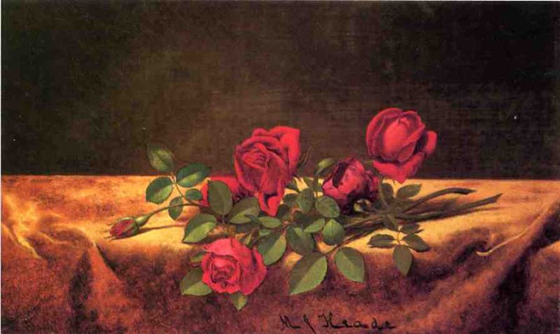 Roses Lying on Gold Velvet