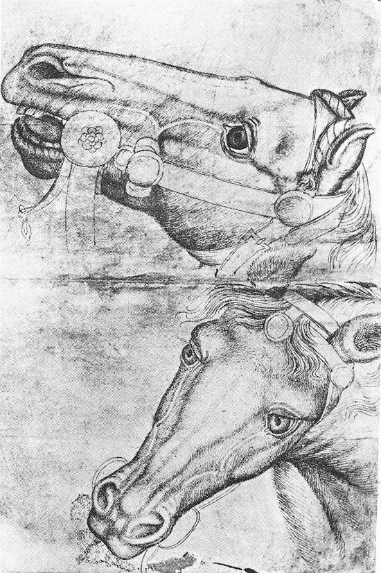 Study of Horse Heads