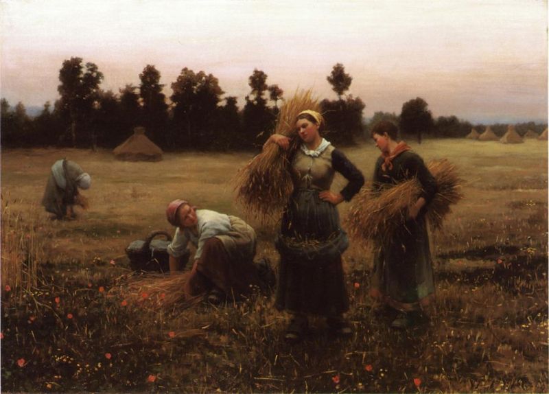 The Harvesters