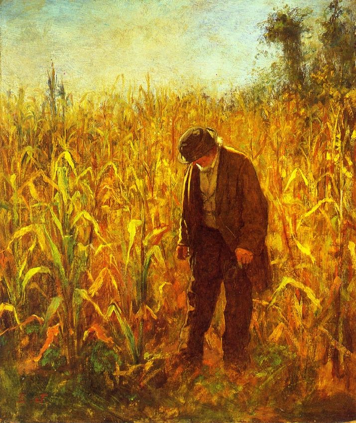 Man in a Cornfield