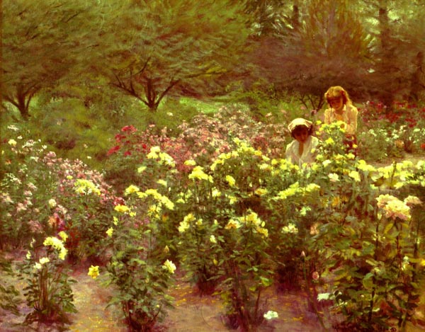 Yellow Roses