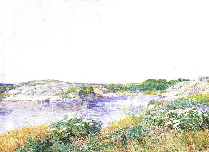 The Little Pond, Appledore