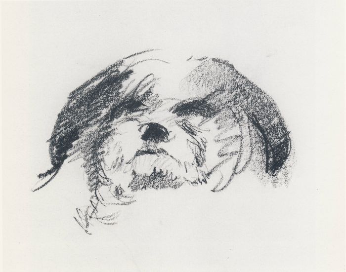 Rufus