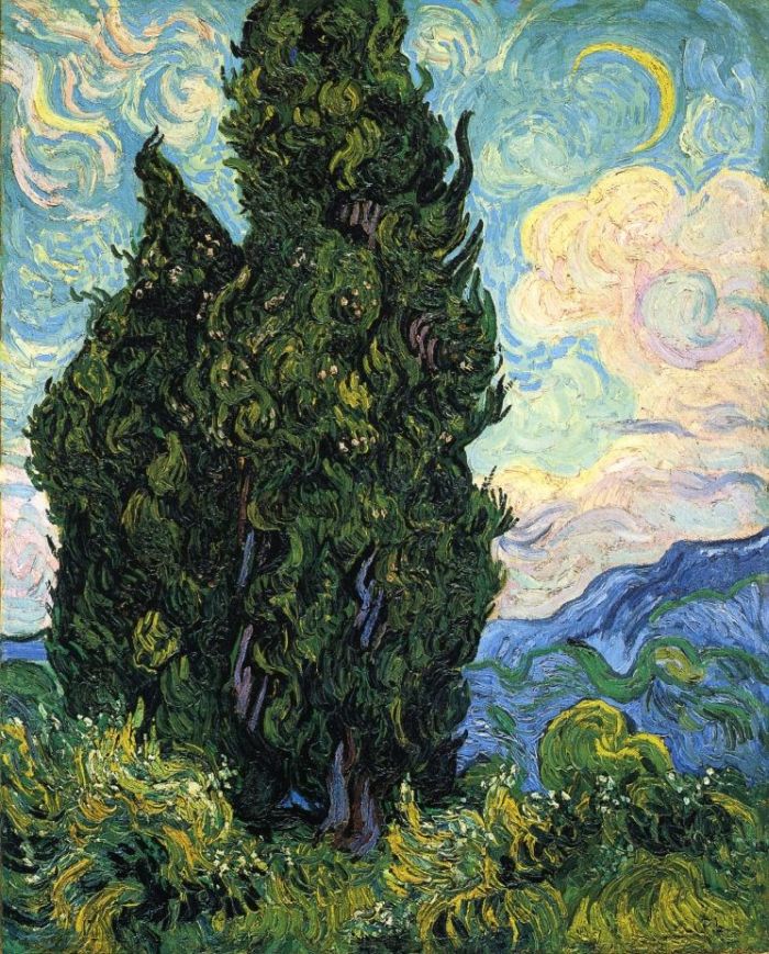 Cypresses