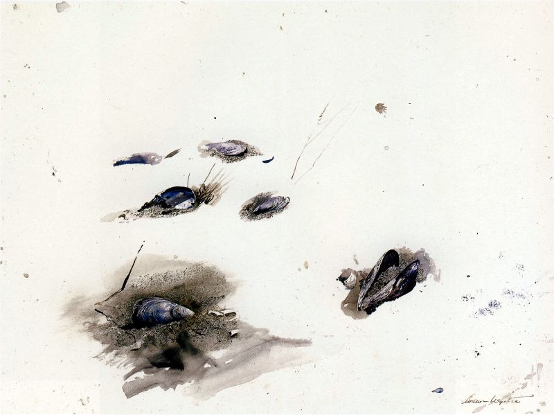 Seashells, Study for Sandspit