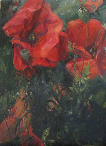 Poppies