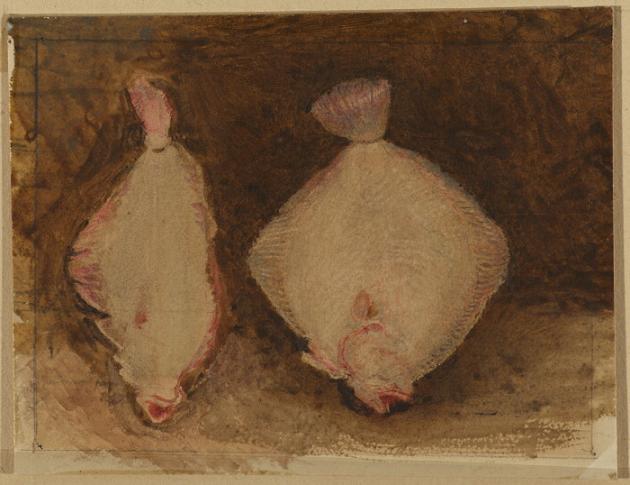 Two Flounders