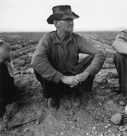 Jobless On Edge Of Pea Field