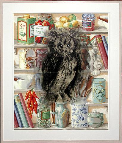 Owl In The Kitchen