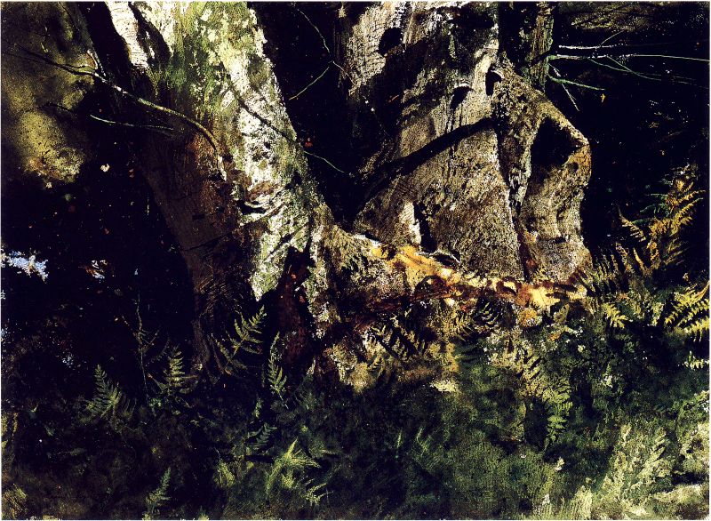 Virgin Birch