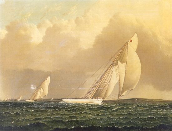Yacht Race In New York Harbor
