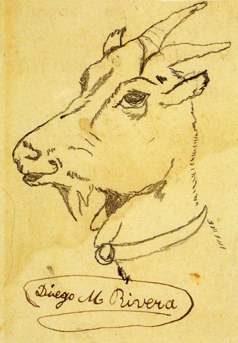 Head of a Goat