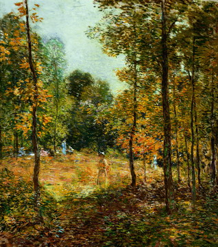 The Picnic