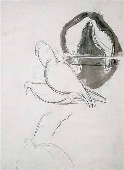 Sketch Of Doves