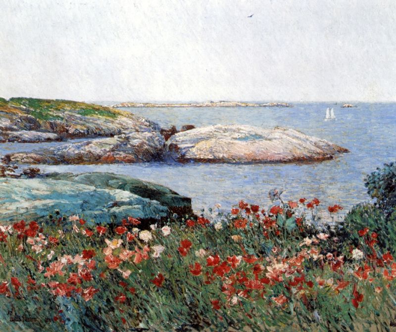 Poppies, Isles of Shoals