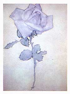 Blue Rose