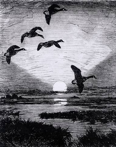 November Moon