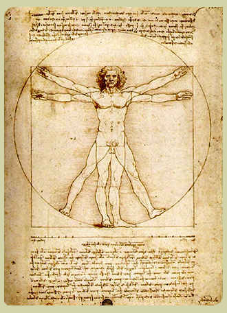 The Vitruvian Man