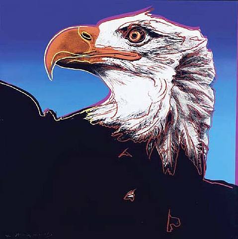 American Bald Eagle