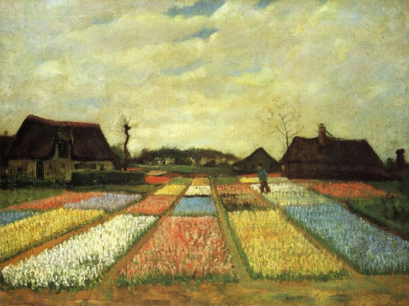 Bulb Fields