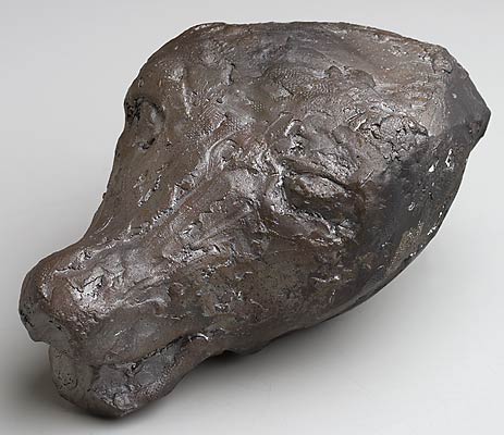 Head