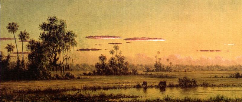 Florida Sunset with Two Cows