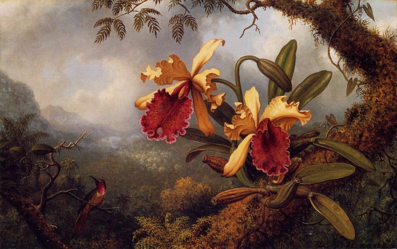 Orchids and Hummingbird