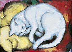 franz marc white cat franz marc white cat