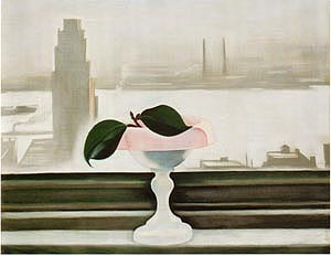 Georgia OKeeffe Pink Dish and Green Leaves 1928