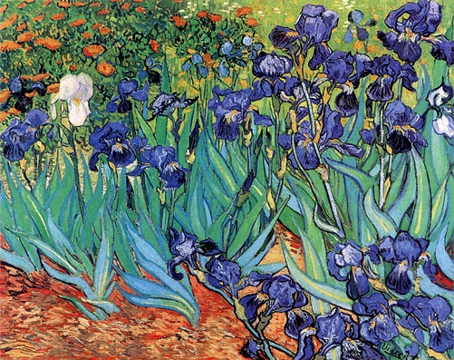 Vincent van Gogh Irises in Garden St. Remy
