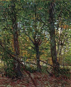 Vincent van Gogh Trees and Undergrowth