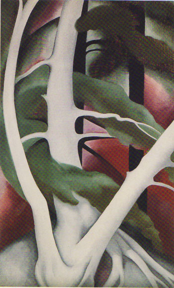 Georgia OKeeffe Birch and Pine Tree No 2 1925