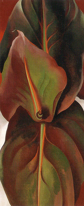 Georgia OKeeffe Canna Leaves 1925