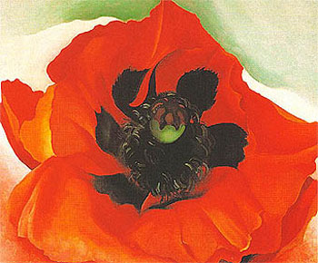 Georgia OKeeffe Poppy 1927