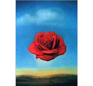 Salvador Dali The Rose