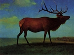 Bierstadt Albert Elk