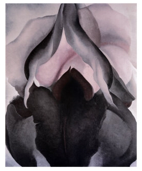 Black-Iris-Georgia-OKeeffe-1906