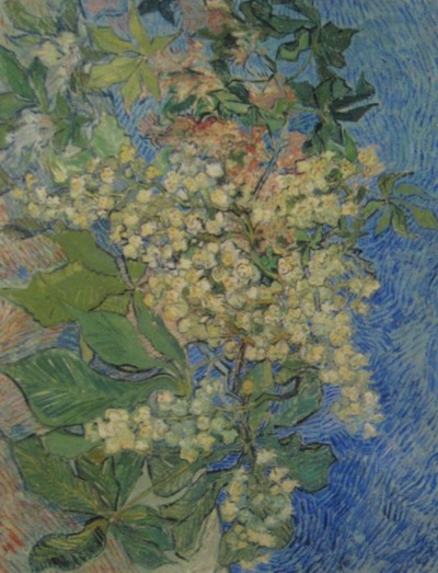 Vincent Van Gogh blossoming chestnut branches