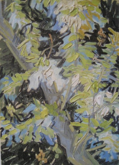 Vincent Van Gogh branches of flowering acacia