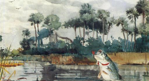 Winslow Homer Black Bass, Florida