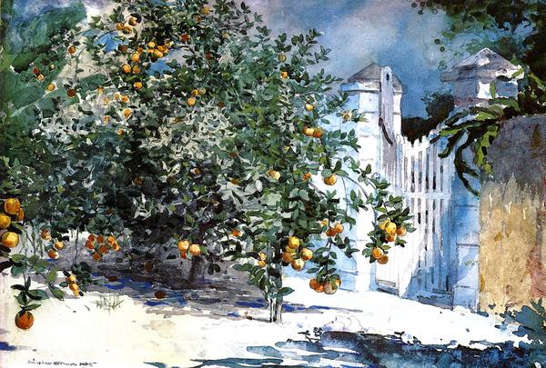 Winslow Homer Orange Tree, Nassau