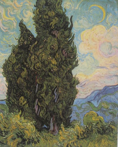 Vincent Van Gogh Cypresses oil painting