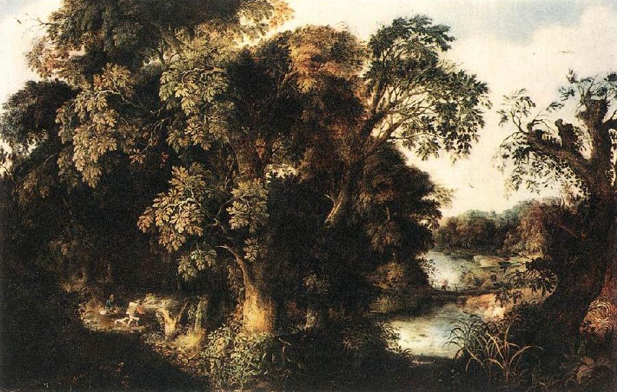 Forest Scene