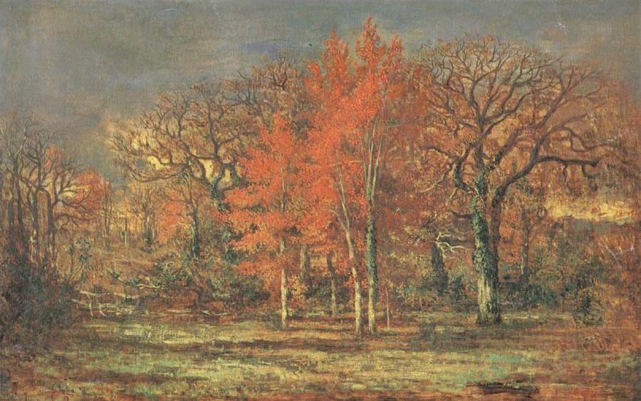 Edge of the Woods,Cherry Tress in Autumn