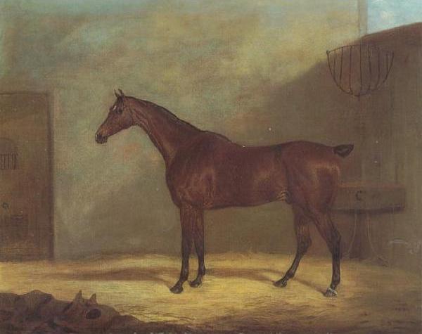 A Chestnut Hunter With A Groom By a Building