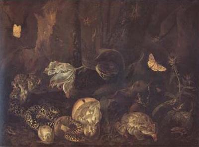 Still Life with Insects and Amphibians (mk14)