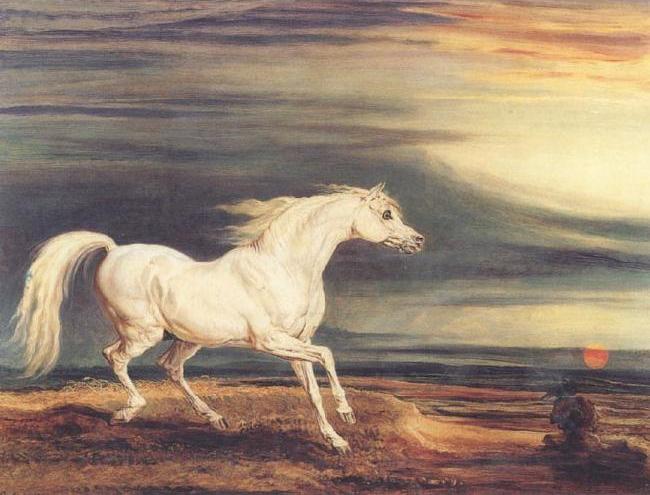 Napoleons Horse,Marengo at Waterloo