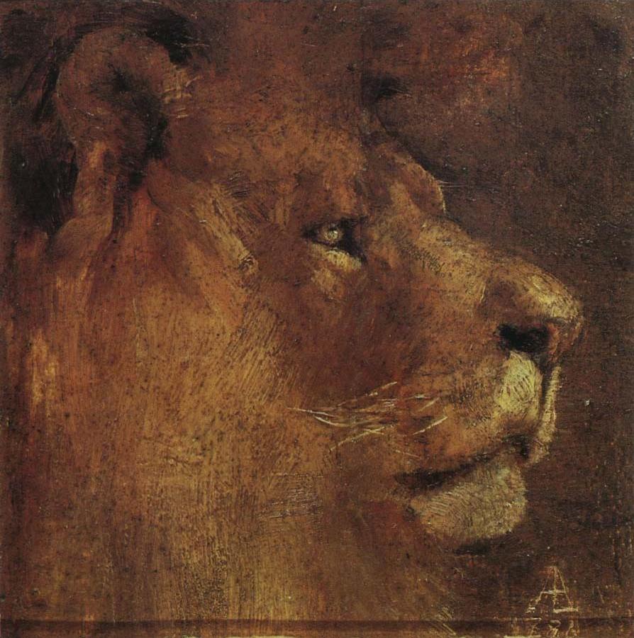 Lion-s head