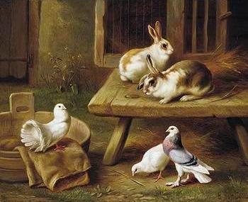 Two Rabbits and three pigeons 069