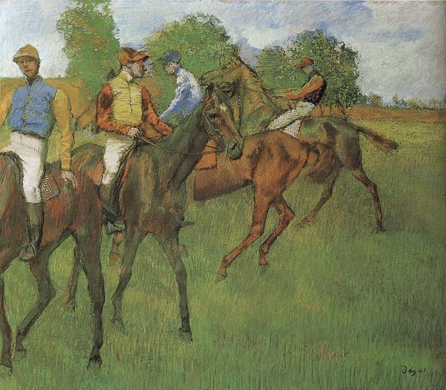 The horse in the race